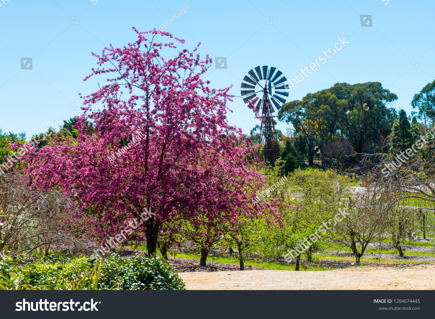 Orange Botanic Garden Beautiful Garden Overlooking Stock Photo