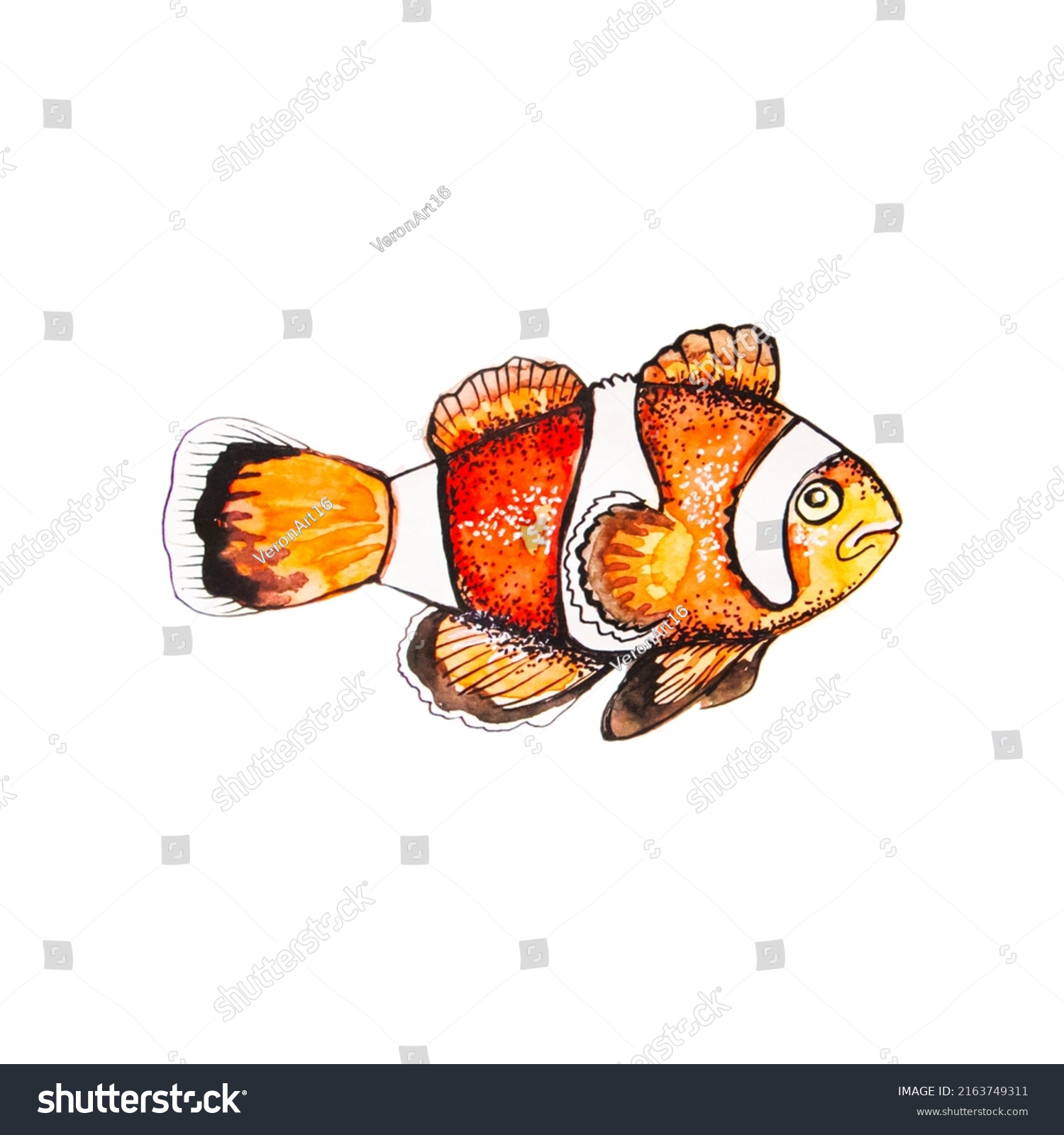 Orange Clown Fish Watercolor Drawing Marine Stock Illustration ...