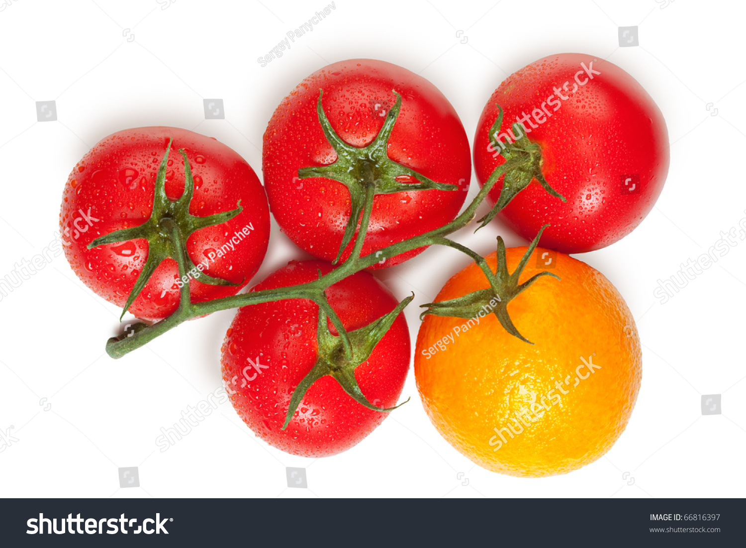 Orange On Branche Tomatoes New Genetic Stock Photo Edit Now