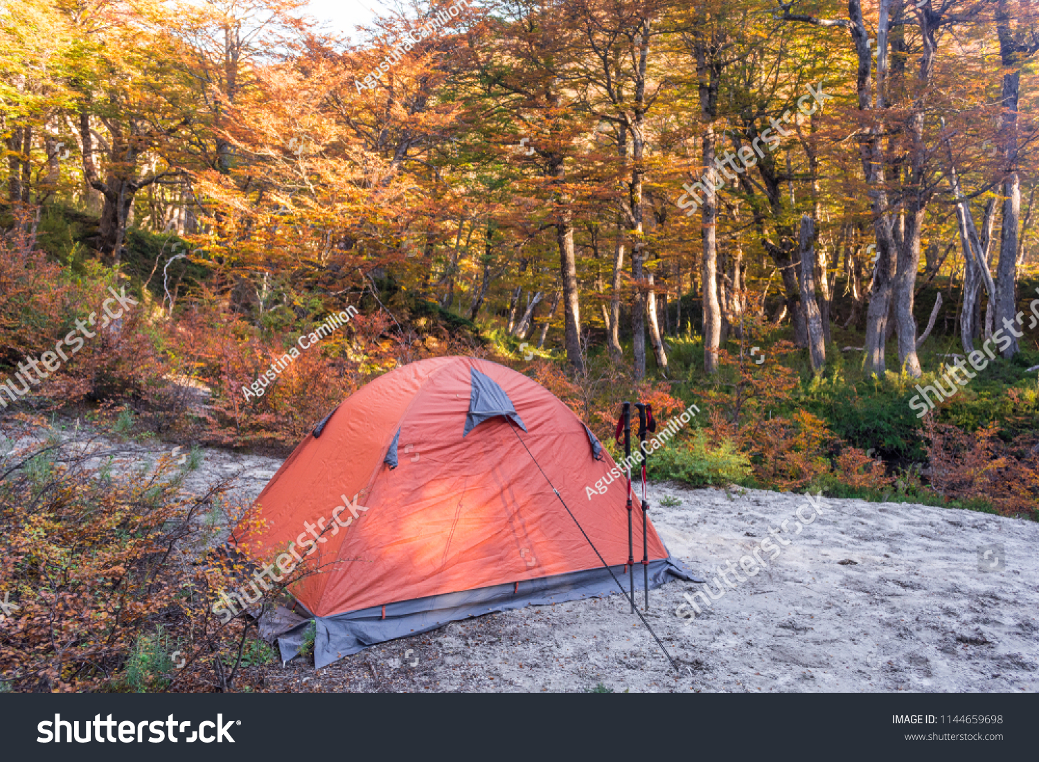 camping and trekking equipment