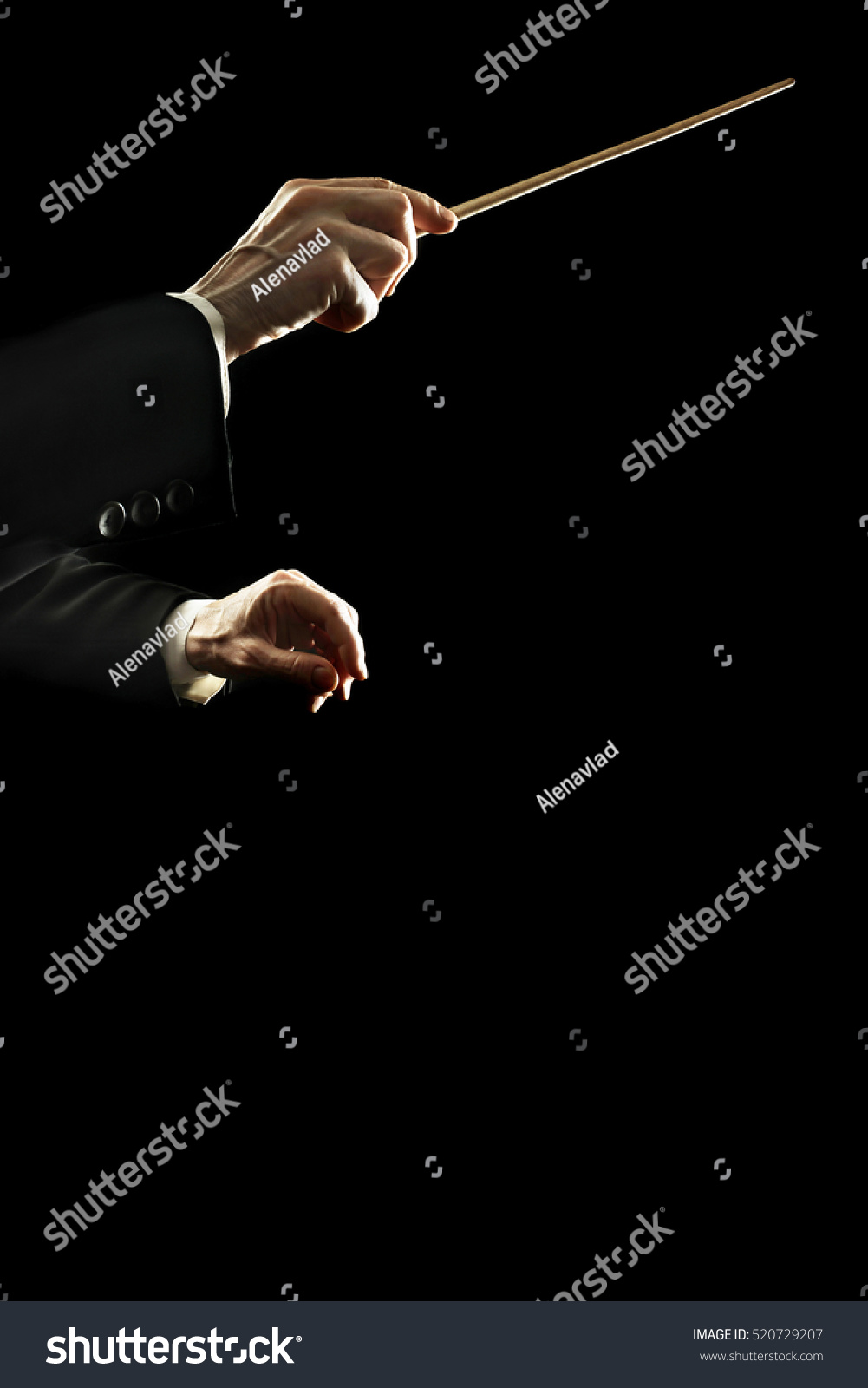 Orchestra Conductor Music Conducting Conductors Hands Stock Photo ...