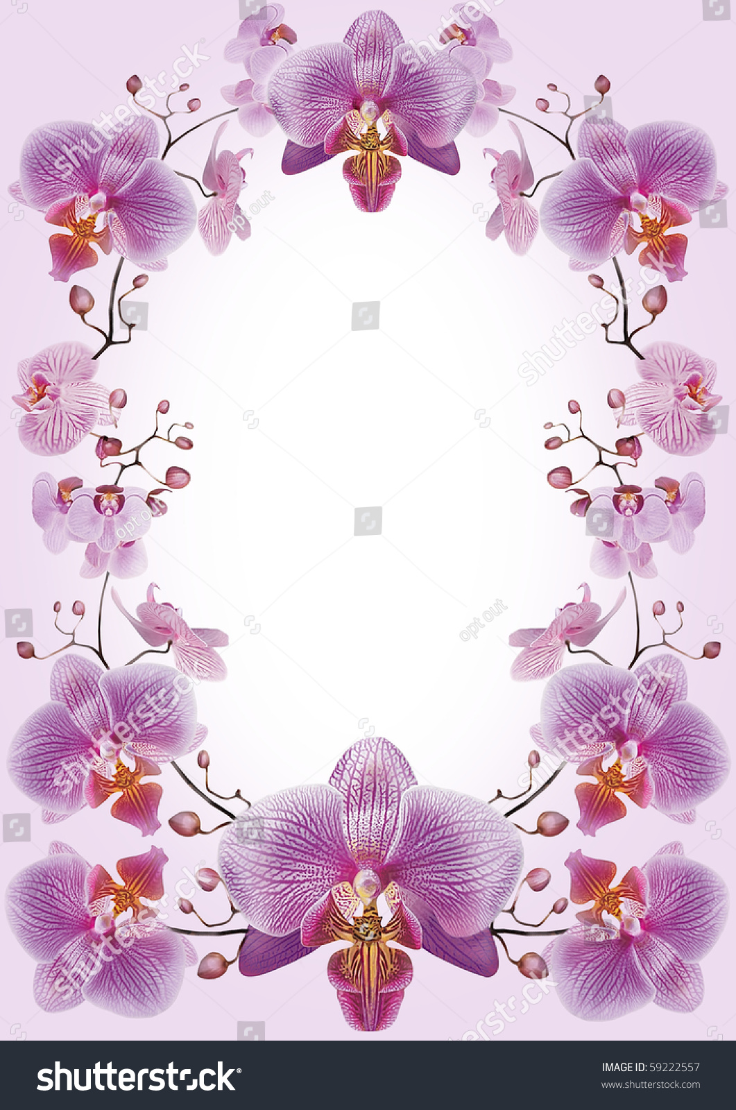 Orchid Flower Frame Or Border Stock Photo 59222557 : Shutterstock