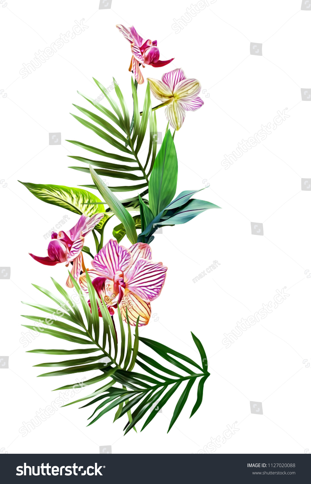 Orchid Flower Template