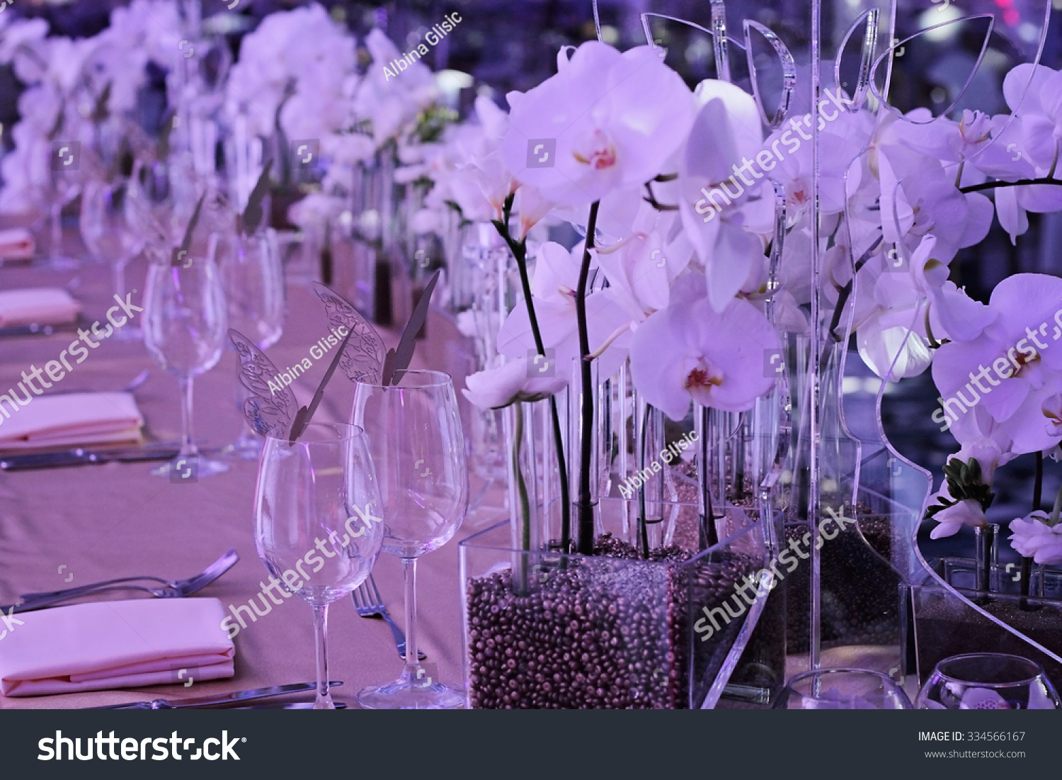 Orchid Wedding Decoration White Gold Colors Stock Photo Edit Now