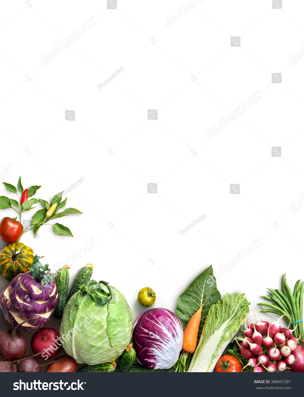 Organic Food Background Food Photography Different Stock Photo ...