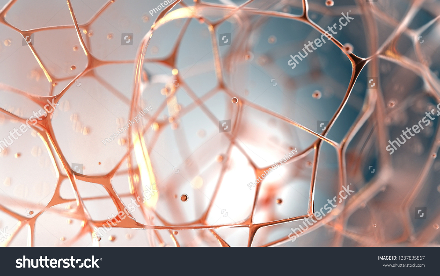 8,303 Connective tissues Images, Stock Photos & Vectors | Shutterstock