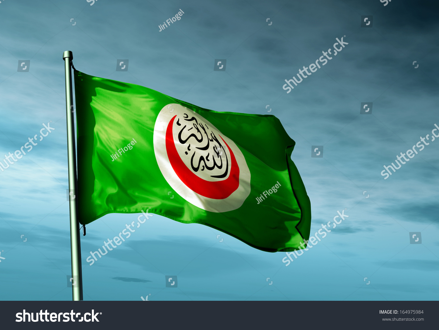 Organisation Islamic Cooperation Flag Waving On Stock Illustration