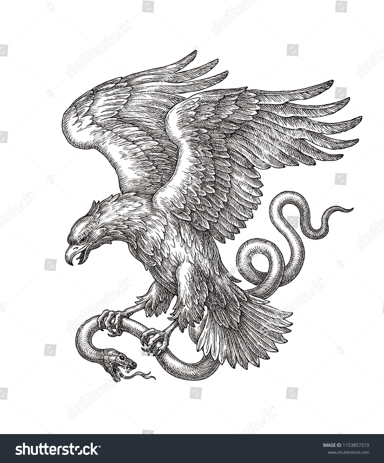 Original hand drawn black and white illustration flying eagle with a snake in claws