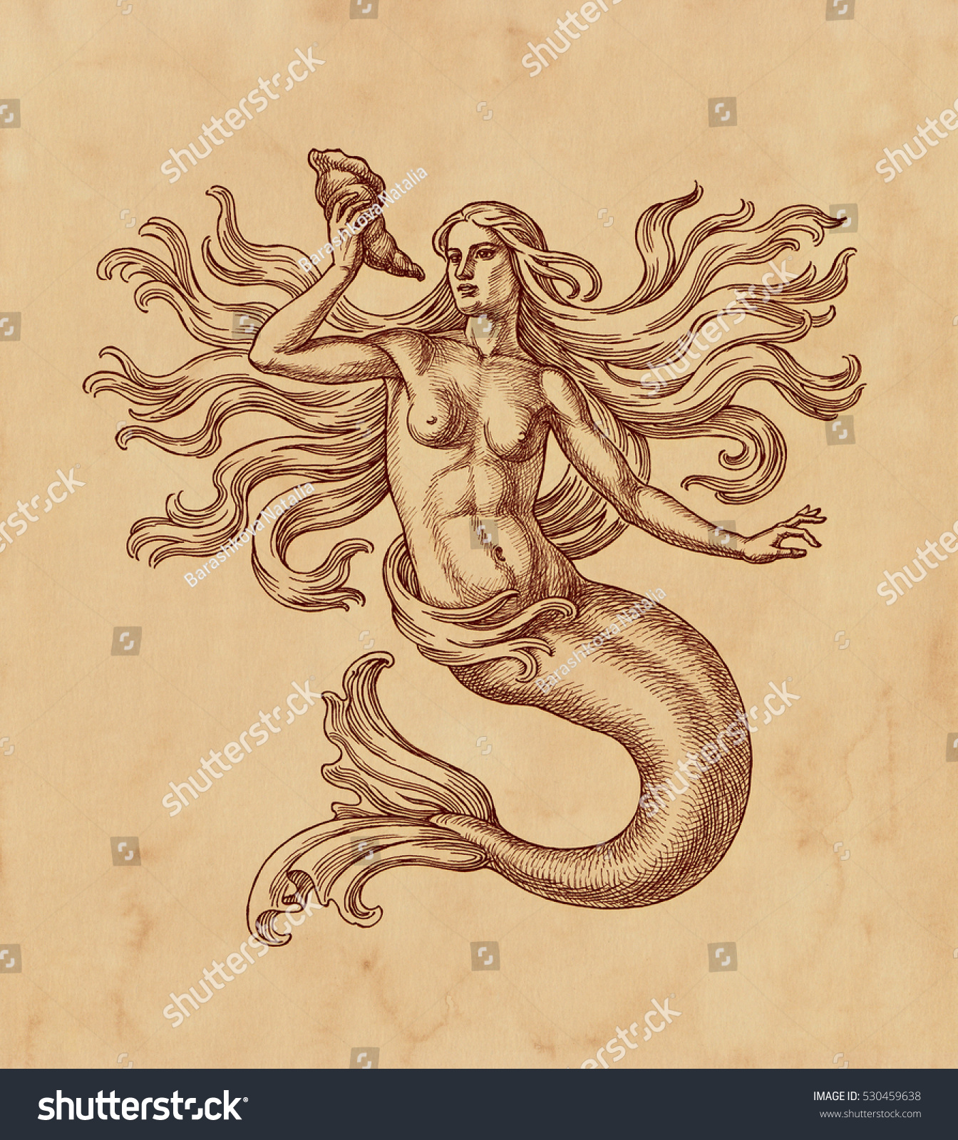 Original Ink Pen Drawing Mermaid On Stock Illustration 530459638 Shutterstock 7114