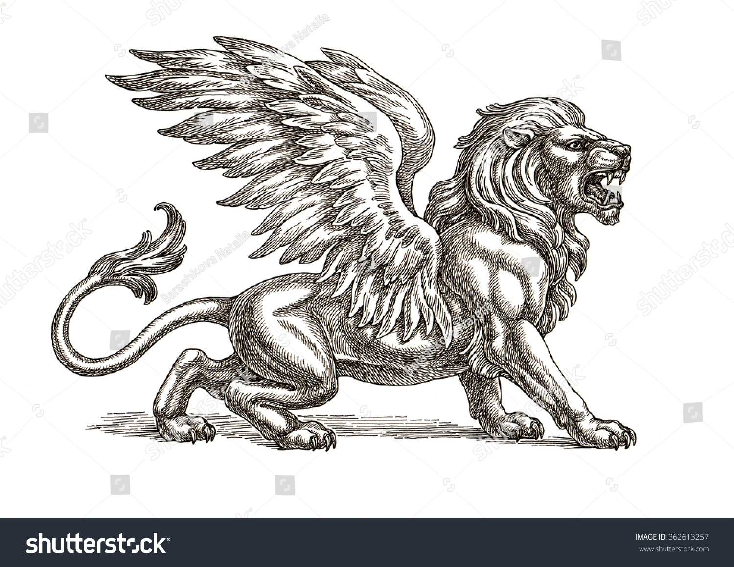 หมึกและปากกาวาดภาพ, สิงโตปีก บนพื้นหลังสีขาว ภาพประกอบสต็อก 362613257