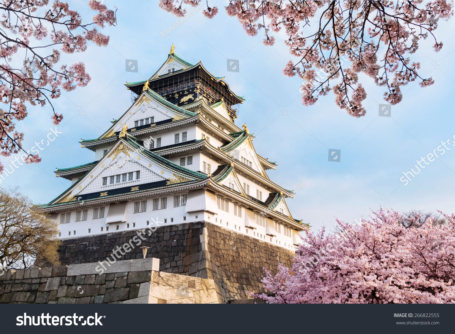 Osaka Castle Cherry Blossom Japanese Spring Stock Photo (Edit Now