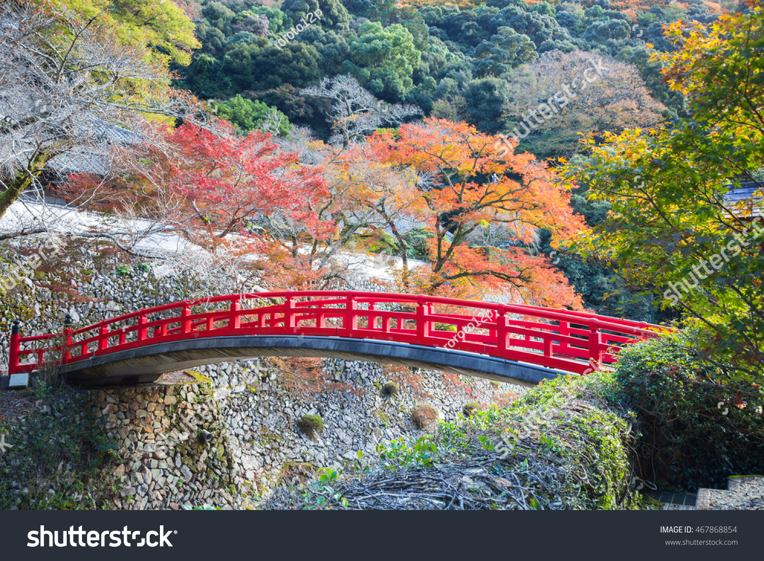 Osaka Japan November 11 15 Mino Stock Photo Edit Now