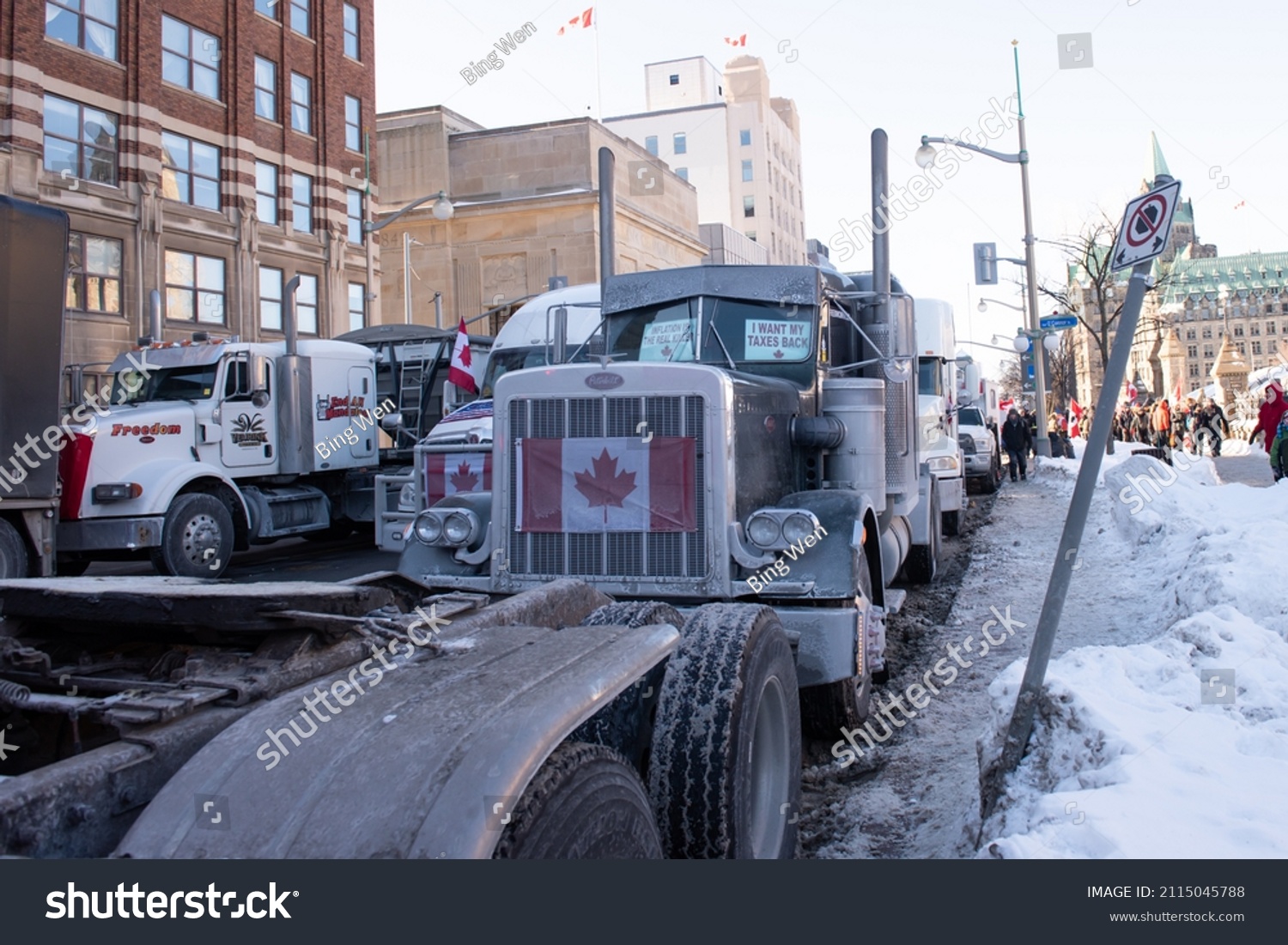 freedom convoy 2022 nz