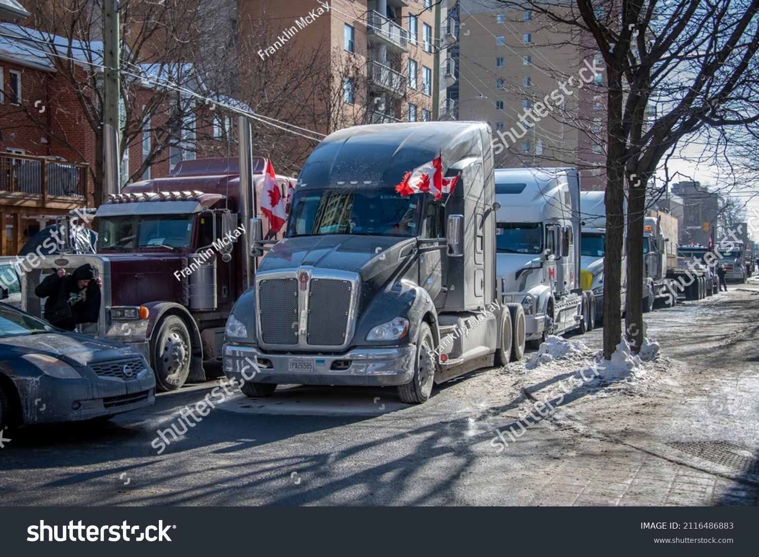 freedom convoy 2022 nz