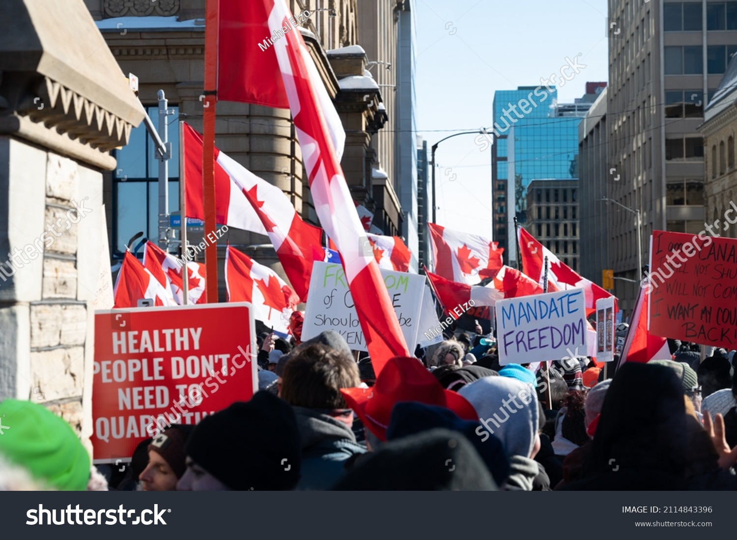 freedom convoy 2022 nz