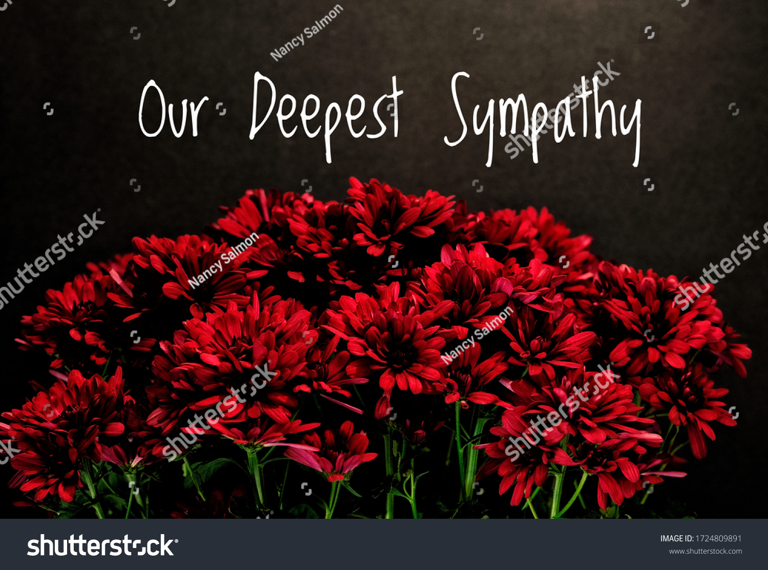 Deep sympathy condolence Images, Stock Photos & Vectors 
