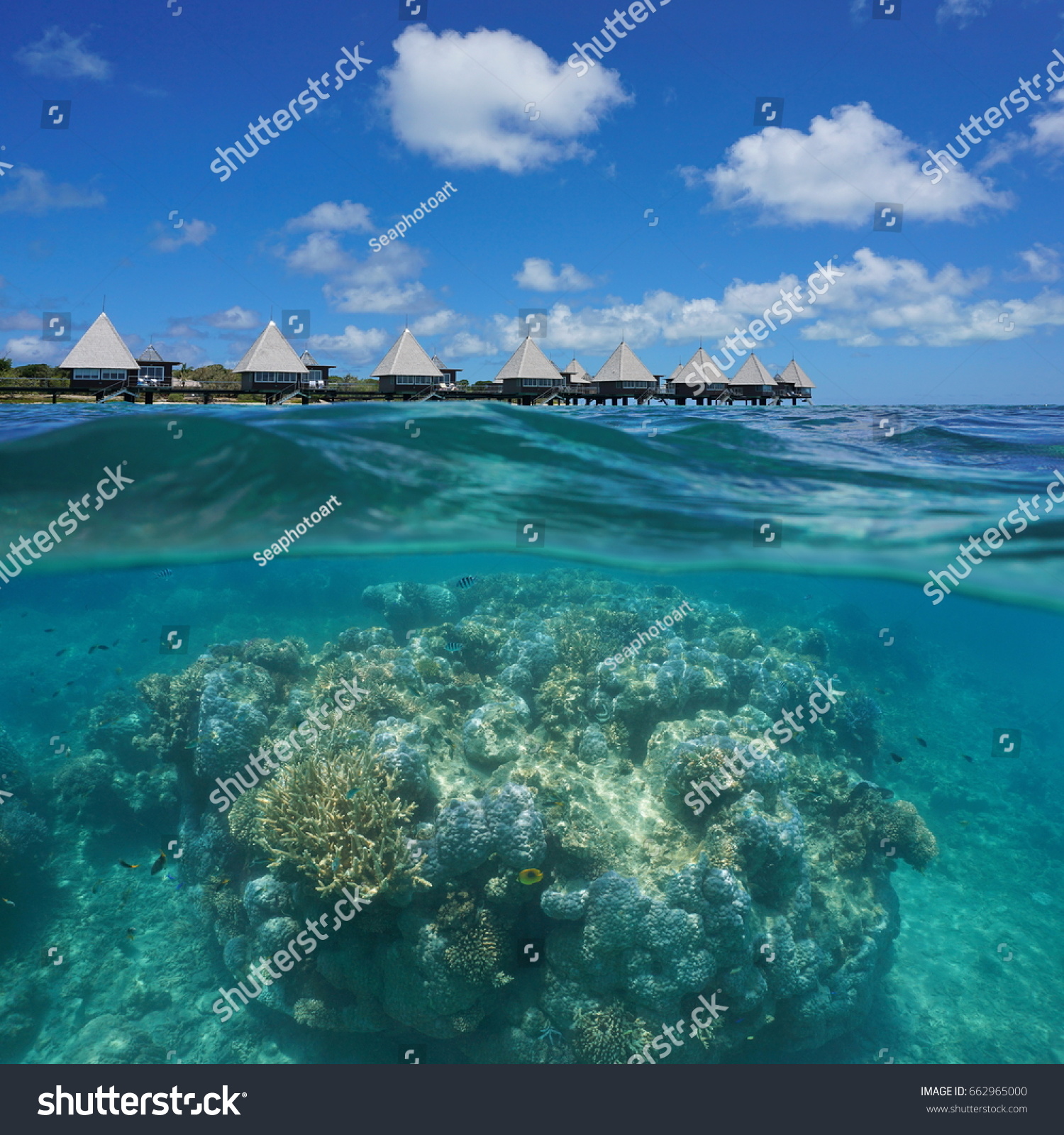 Over Under Ocean Massive Pinnacle Corals Stock Photo 662965000 ...