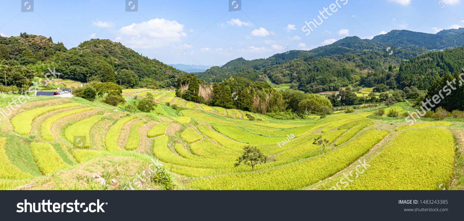 Oyama Senmaida Rice Terrace Located Oyama Stock Photo Edit Now