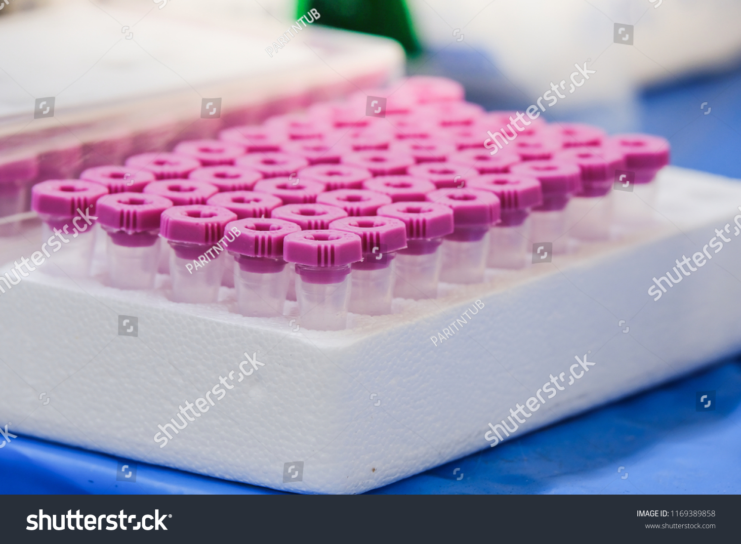 Pack Lavender Pink Microtubes 05 Microliter Stock Photo Edit Now