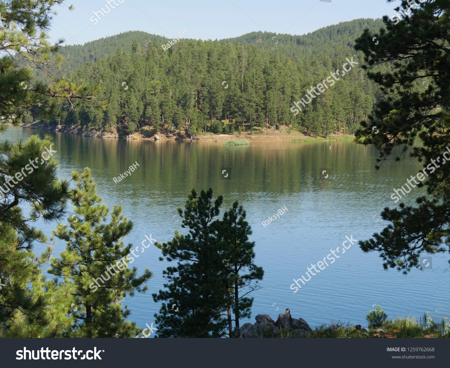 Pactola Lake Largest Reservoir Black Hills Stock Photo Edit Now