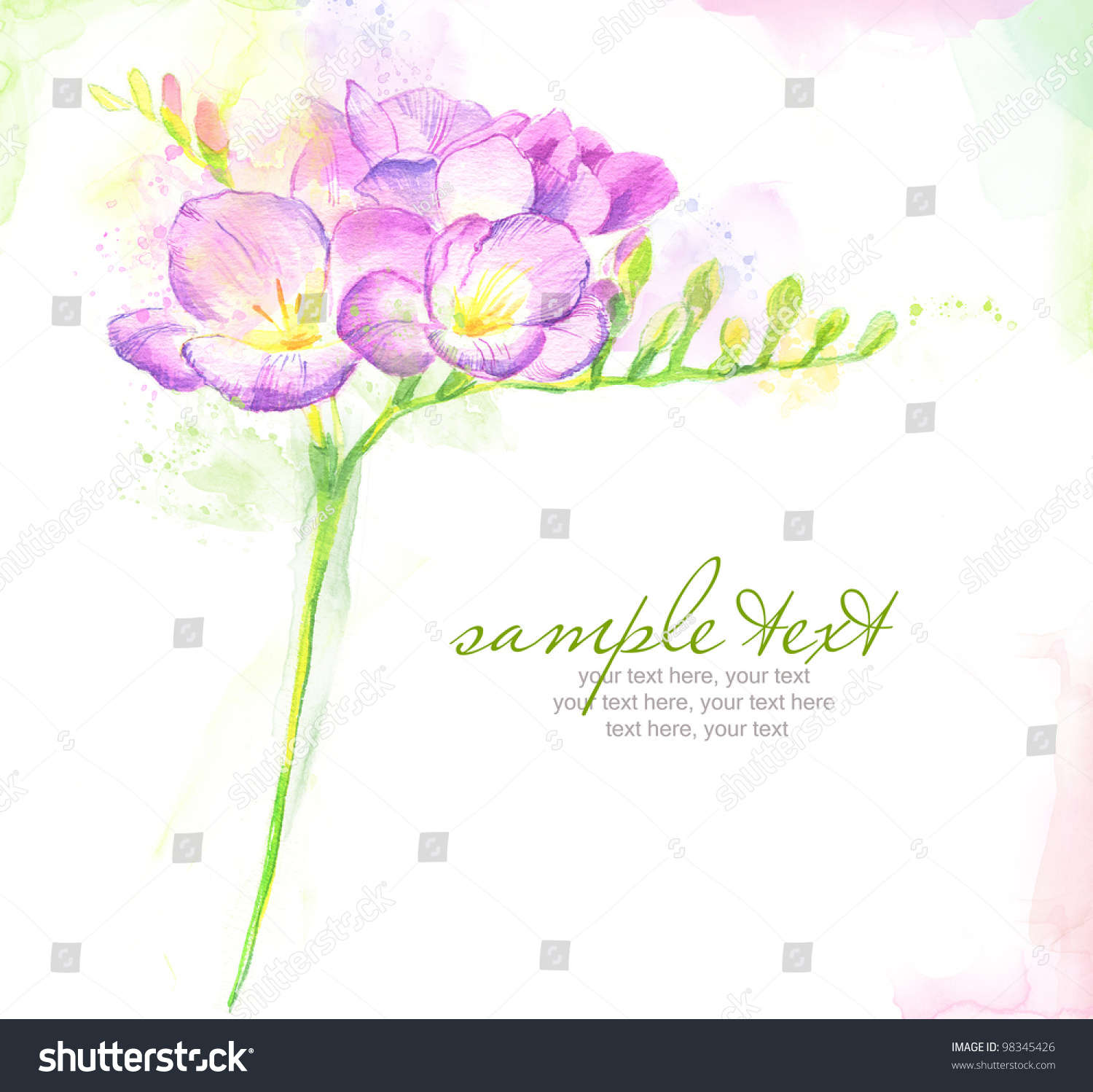 Painted Watercolor Card Freesia Text Stock Illustration 98345426 