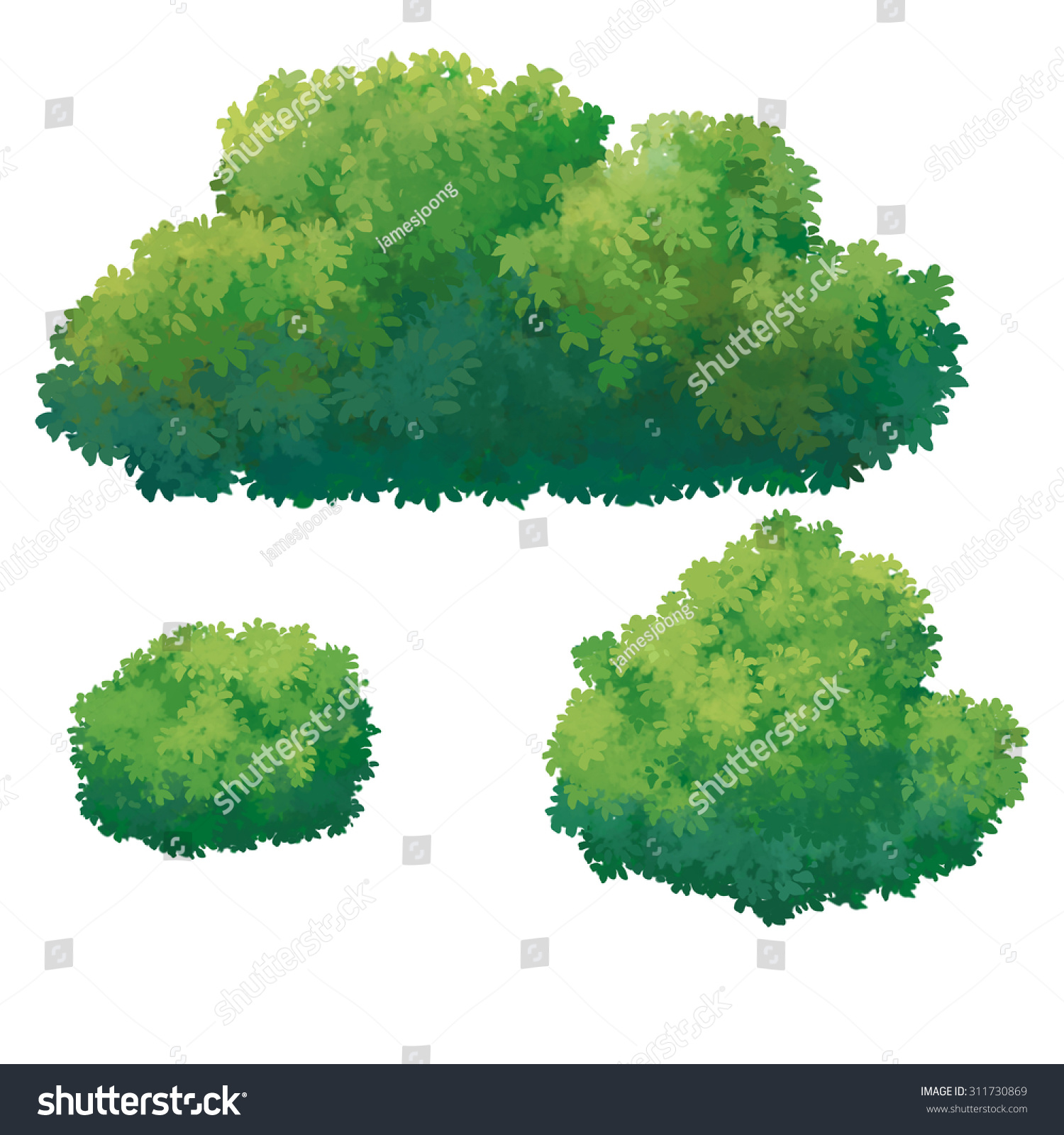 Painting Of Green Bush Stock Photo 311730869 : Shutterstock