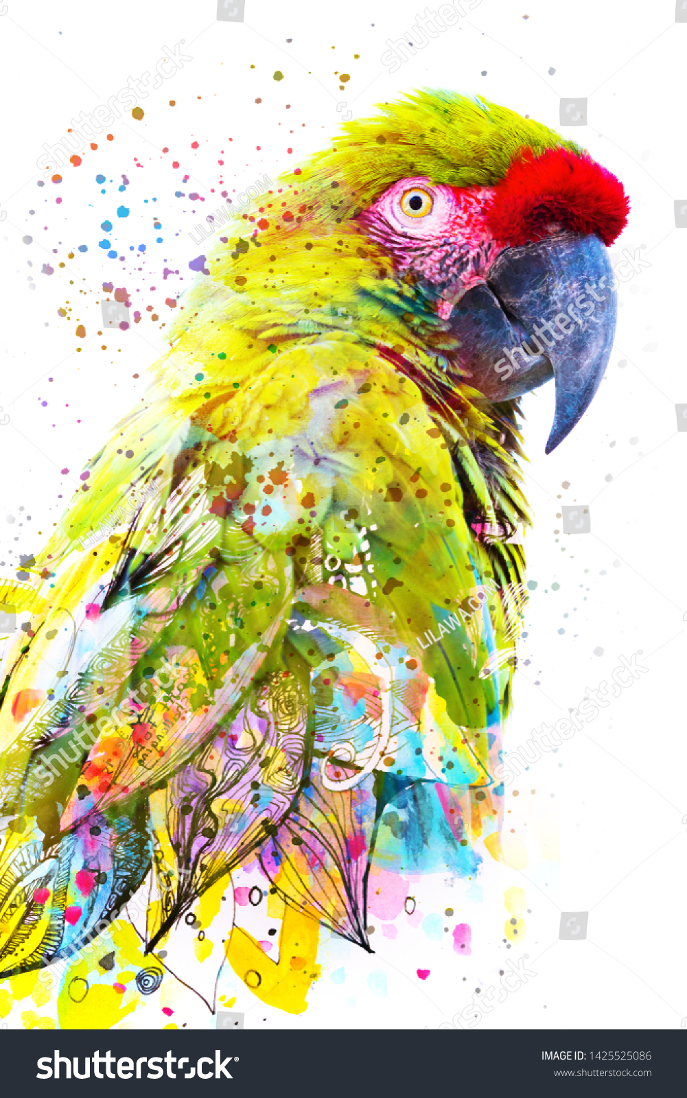 8,198 Parrot painting Images, Stock Photos & Vectors | Shutterstock