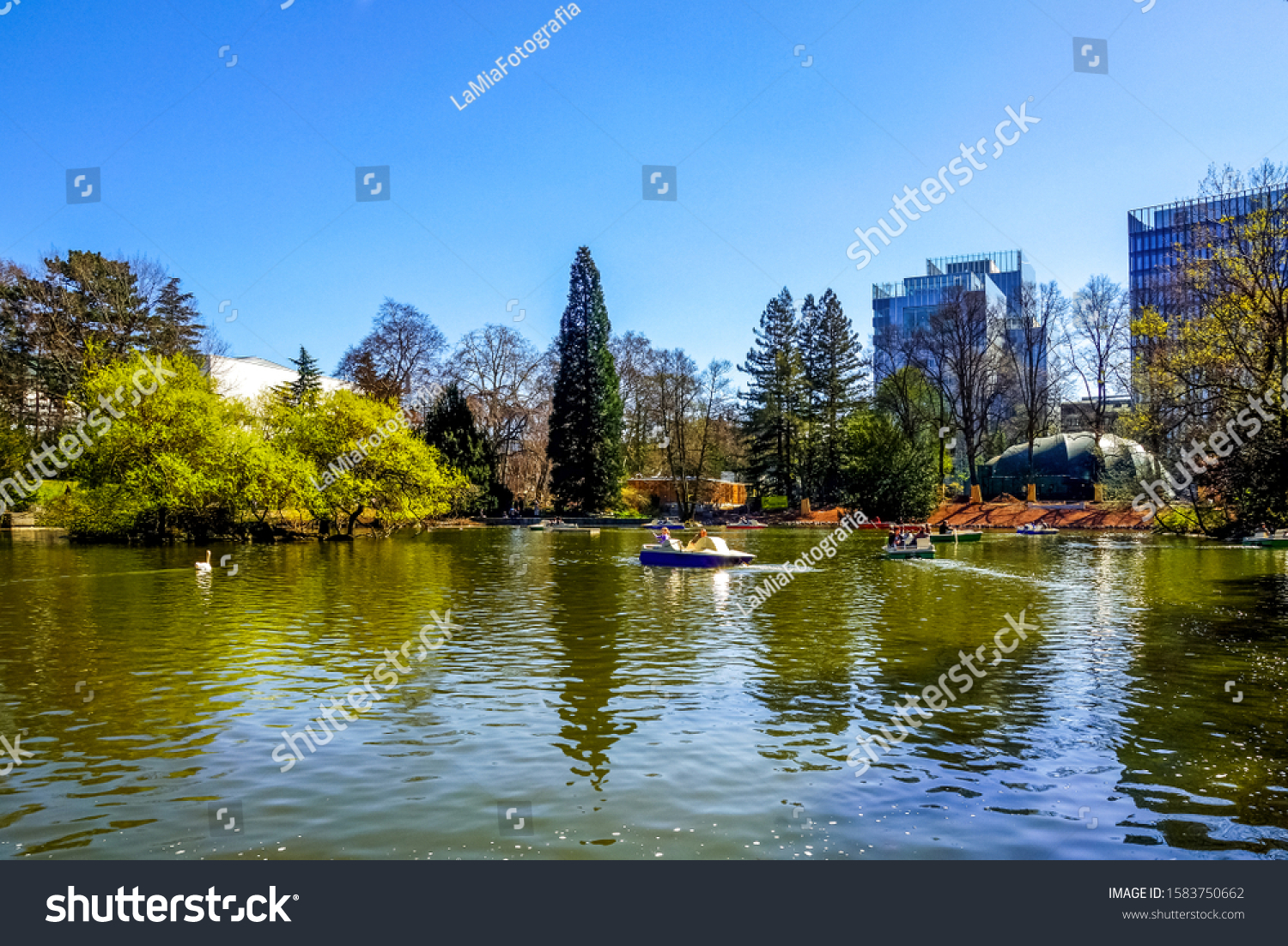 Palm Garden Frankfurt Main Hessen Germany Nature Stock Image