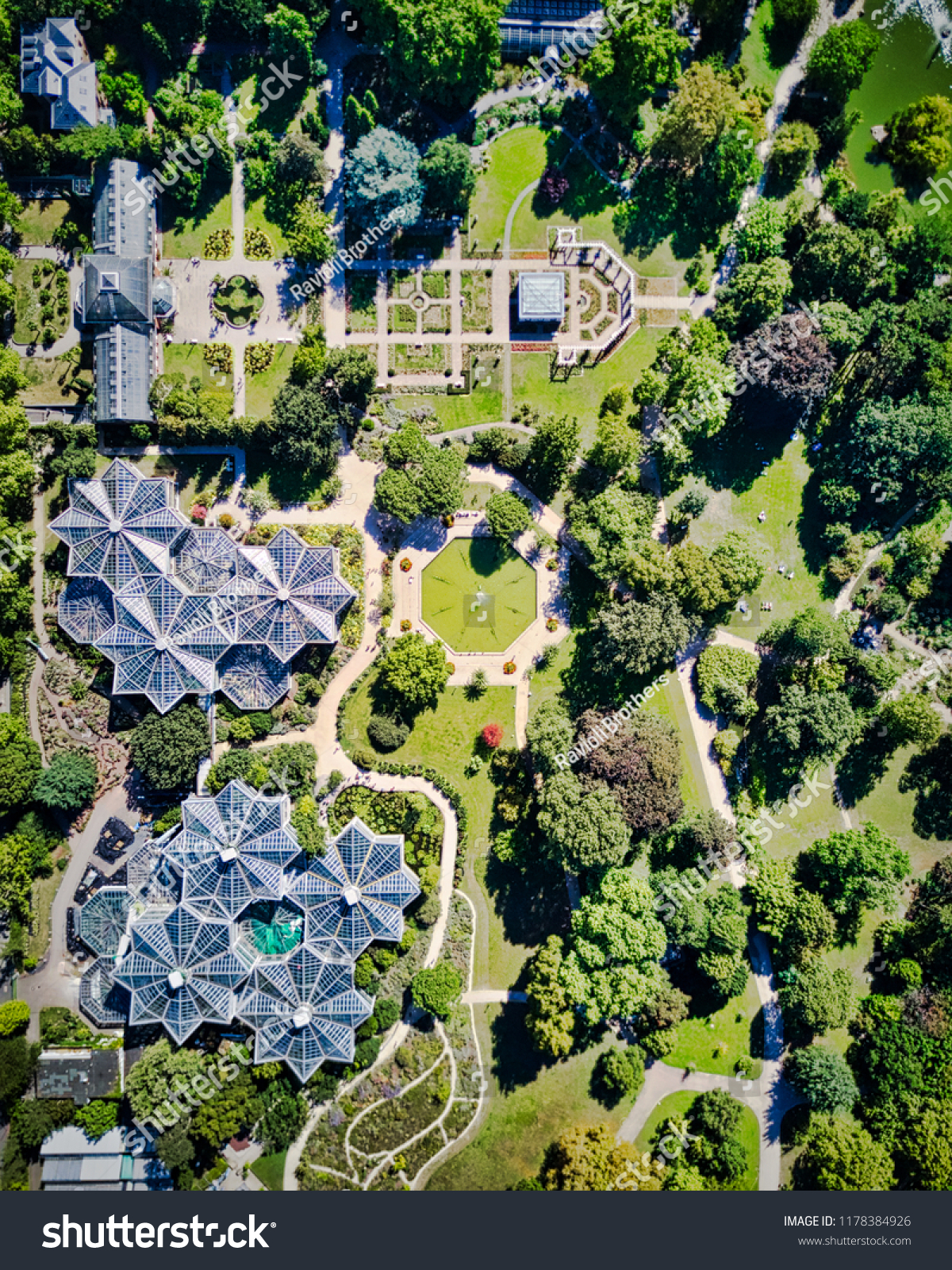 Palm Garden Heart Frankfurt On Main Parks Outdoor Stock Image