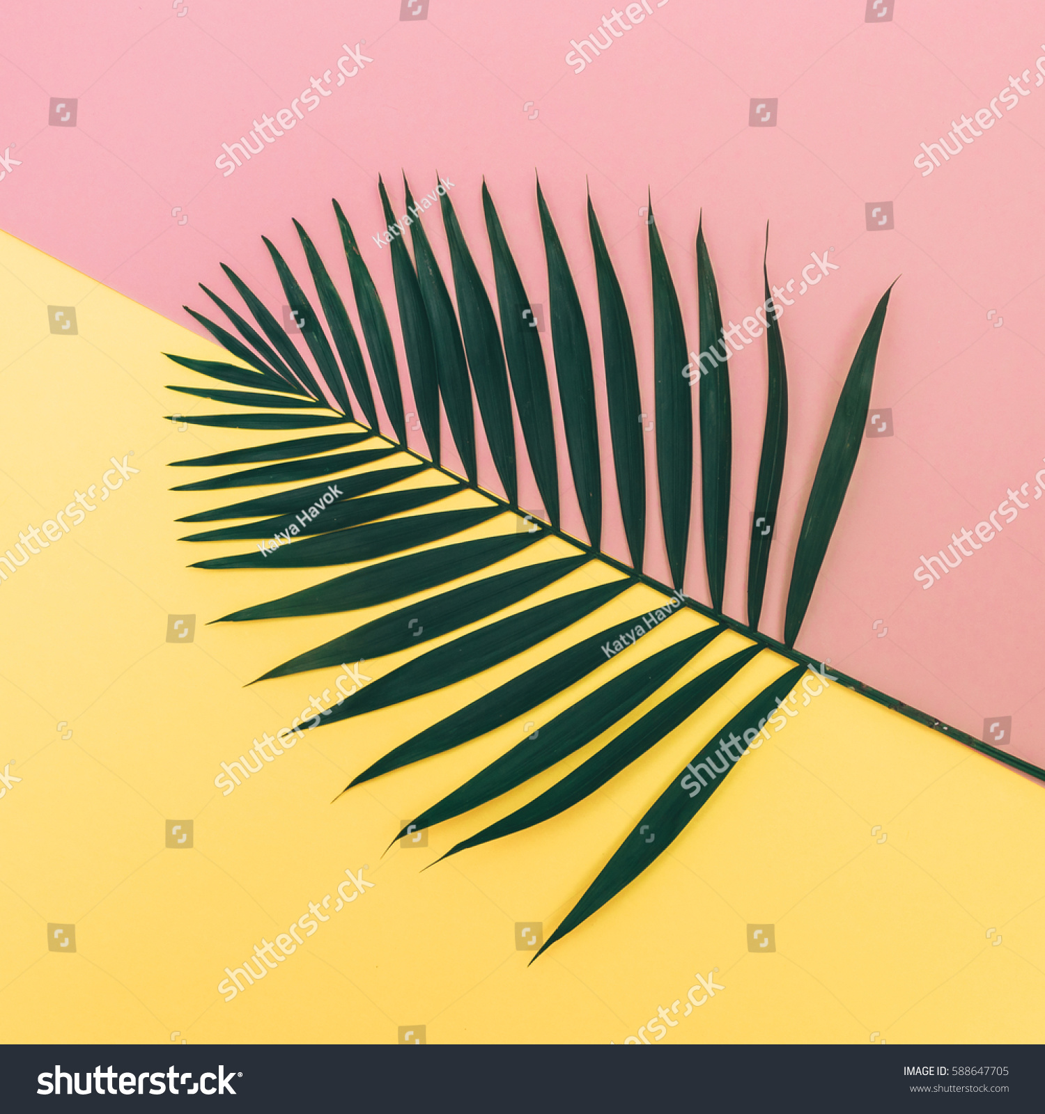 minimalistic leaf