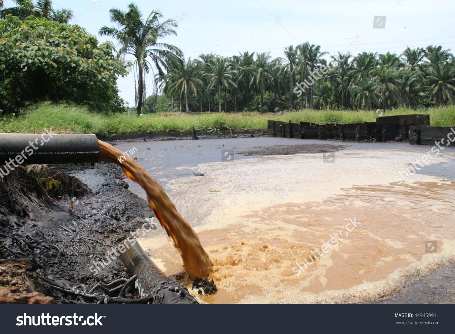 Palm Oil Mill Effluent Pome Wastewater Stock Photo Edit Now 449459911