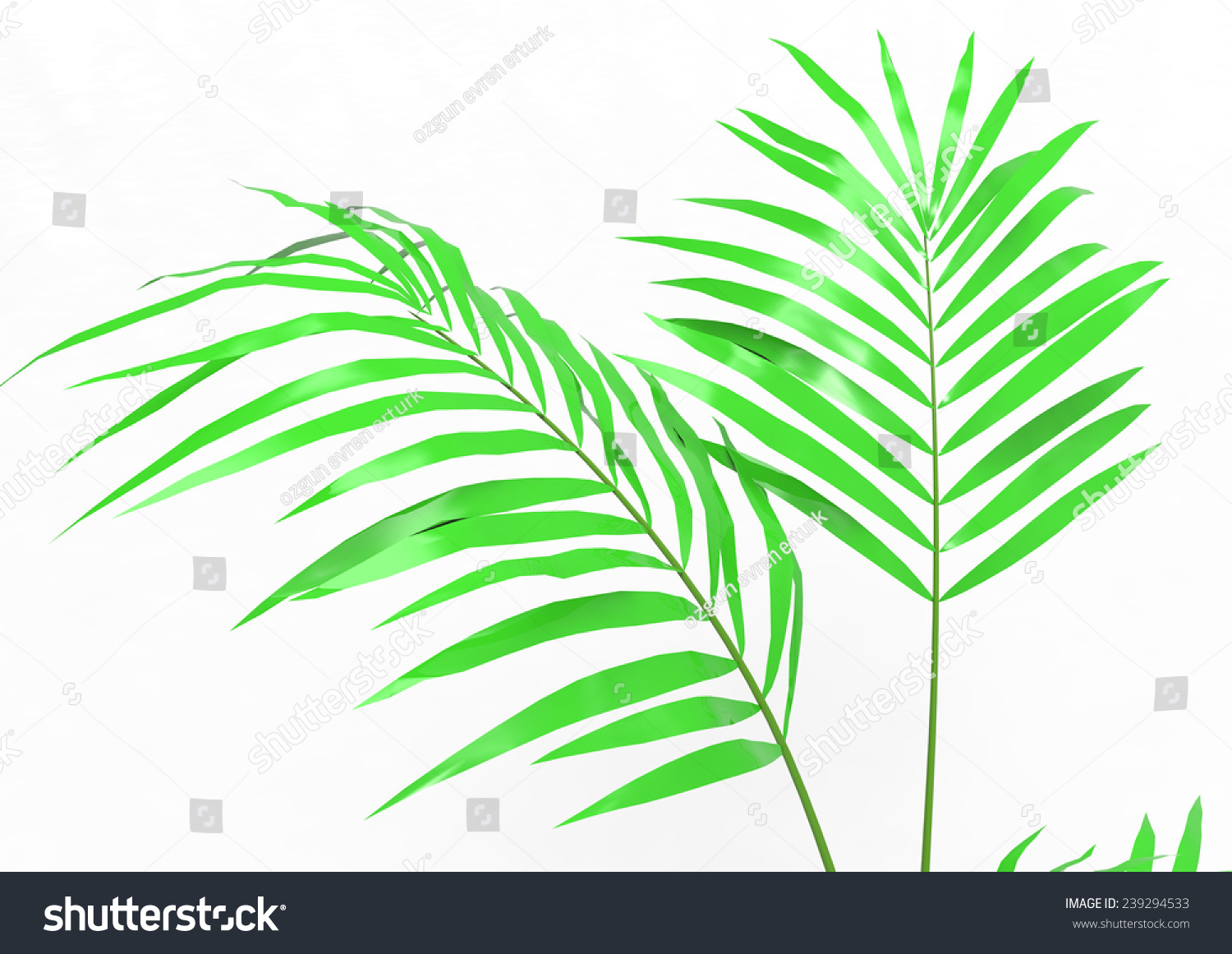 Palm Tree Stock Illustration 239294533 - Shutterstock