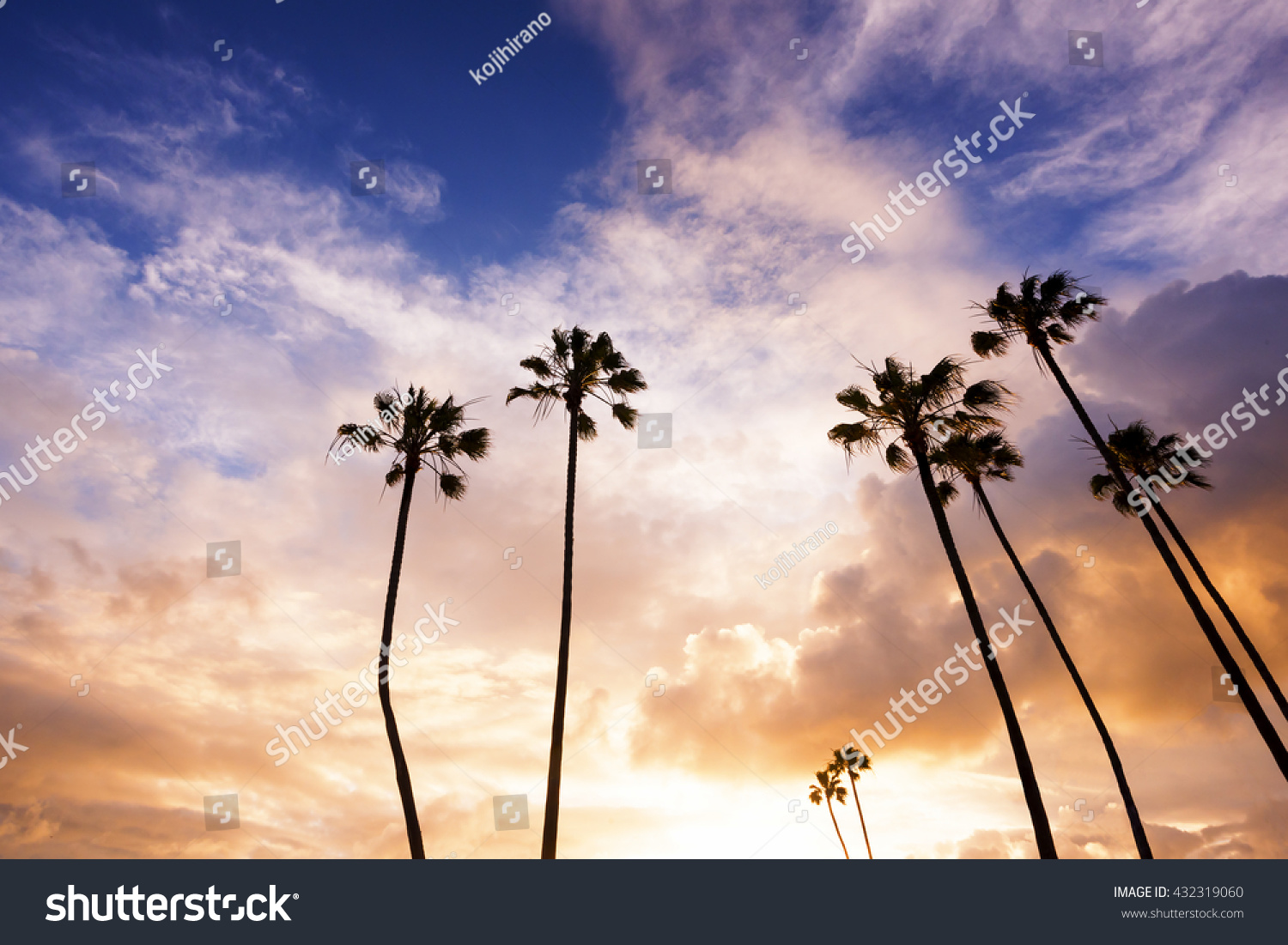 Palm Trees In California Beach During Sunset Palm Trees In California Beach During Sunset