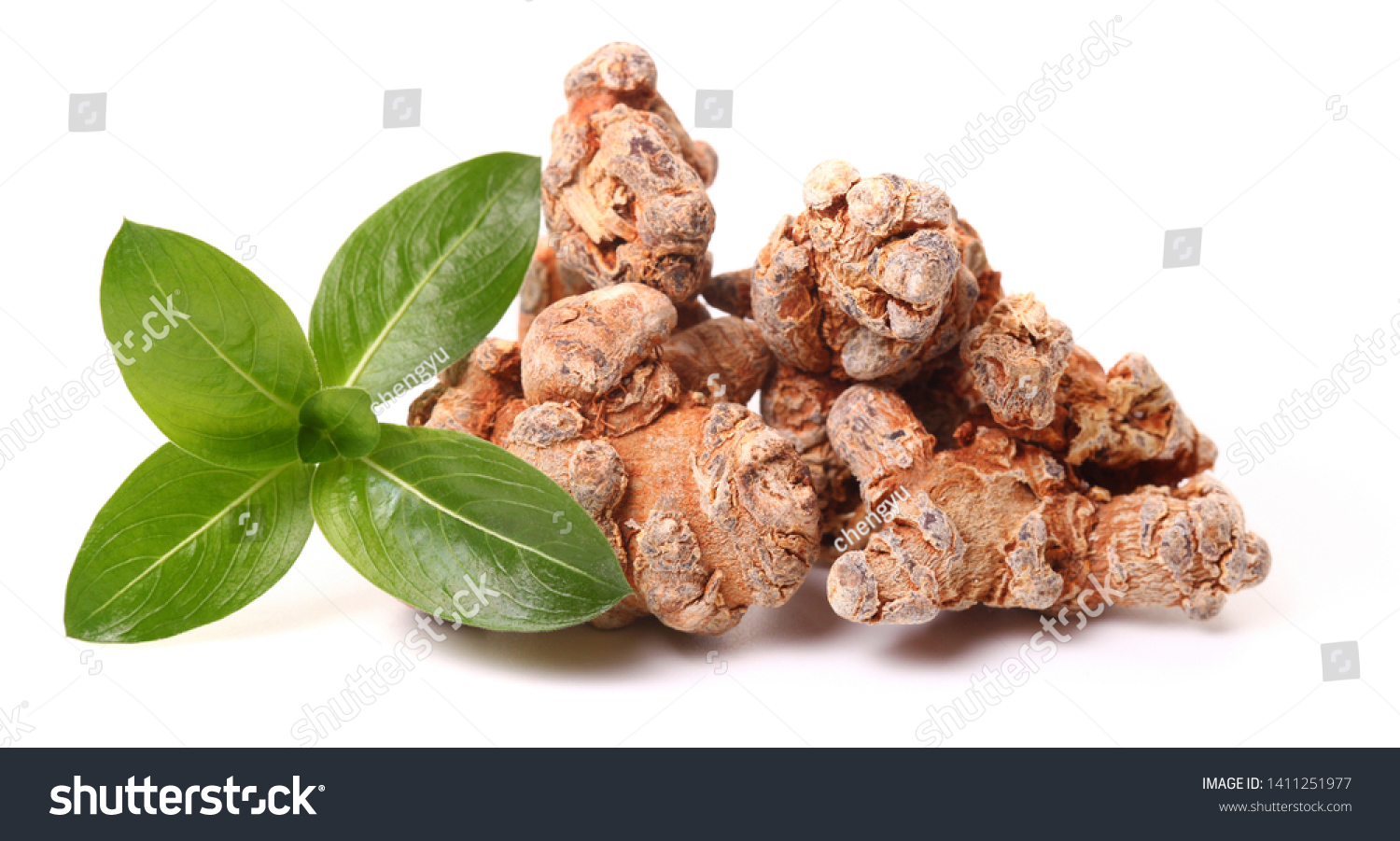 350 Notoginseng Images, Stock Photos & Vectors | Shutterstock