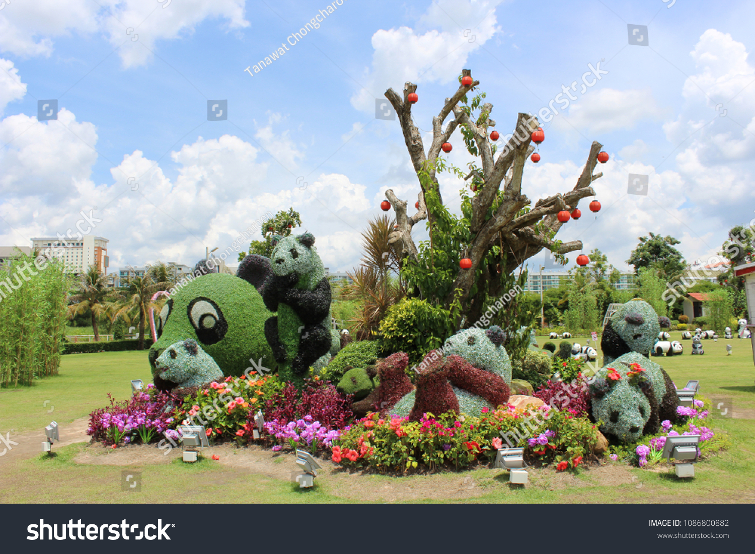 Panda Garden Dannok Sadao District Songkhla Stock Photo Edit Now