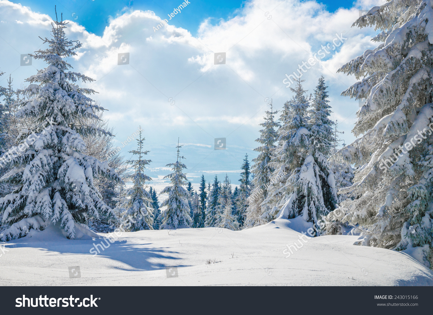 Panoramic View Of Forest In Winter Panoramic View Winter Mountain On Forest Stock Photo