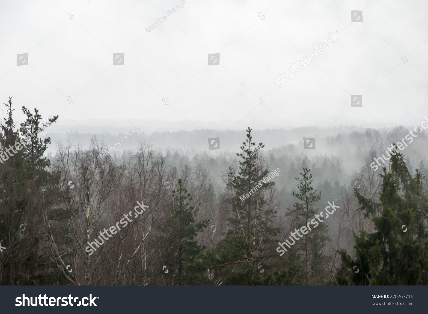 Misty Rain images pics Misty Rain