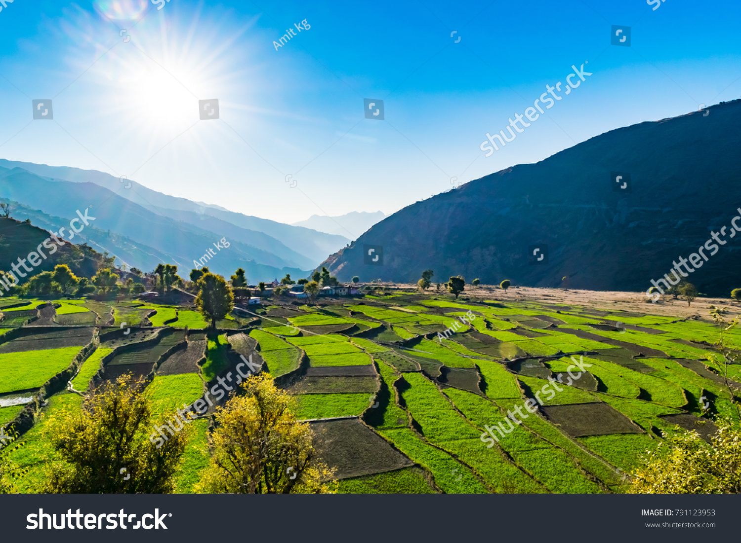 essay on uttarakhand agriculture