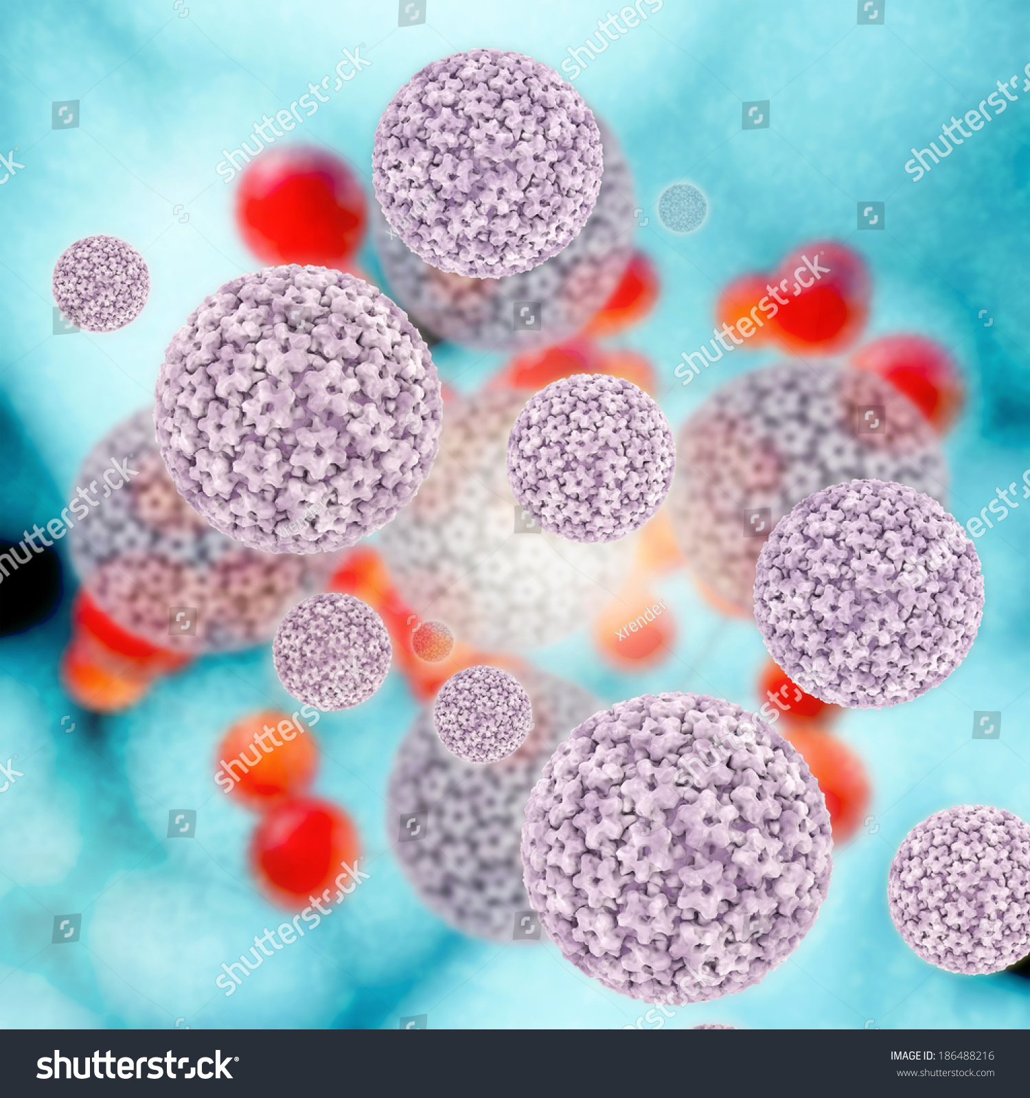 Condyloma acuminata szállítás. A HPV-fertőzés tünetei nőkben és férfiakban - Medicover