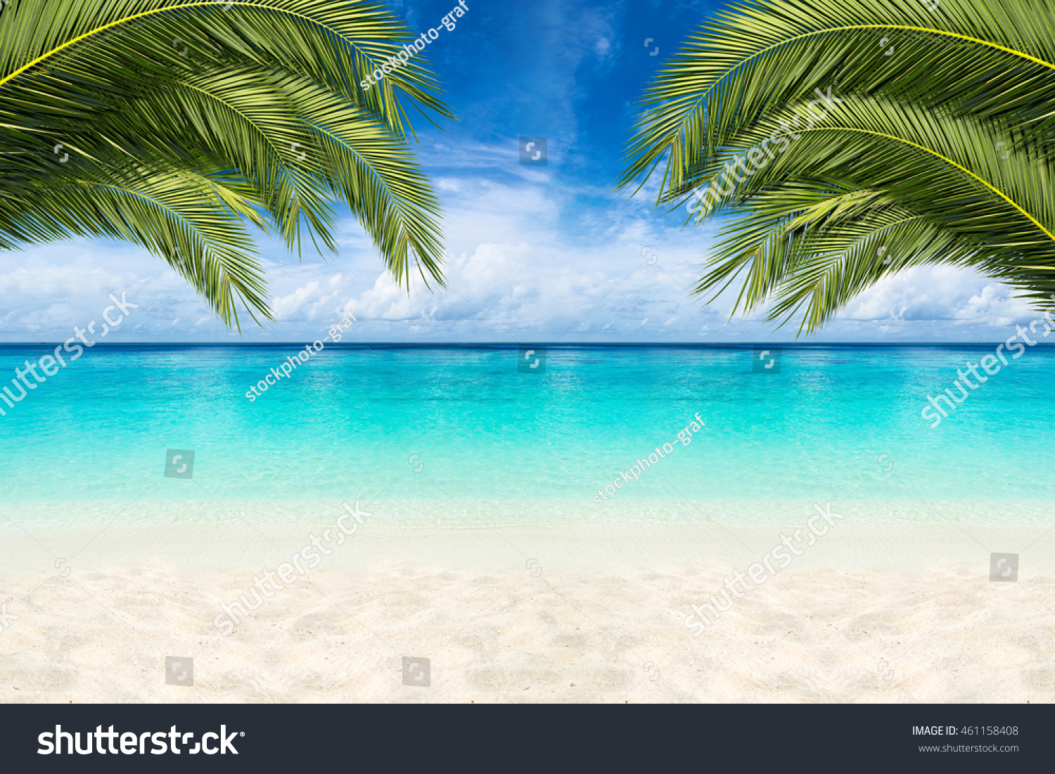 Paradise Beach Background Coco Palms Stock Photo 461158408 | Shutterstock