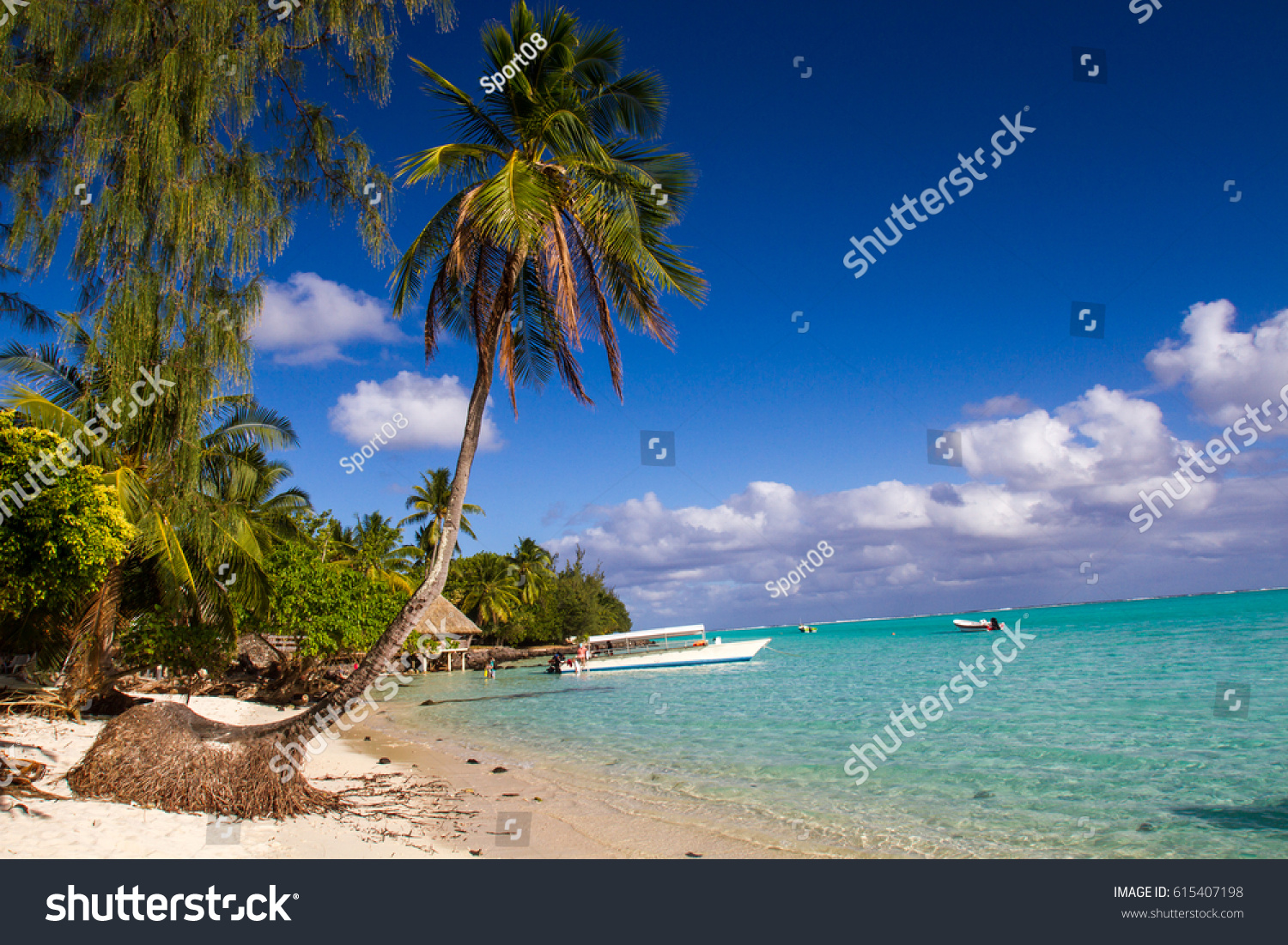 Paradise Beach Blue Water Palm Tree Stock Photo 615407198 | Shutterstock