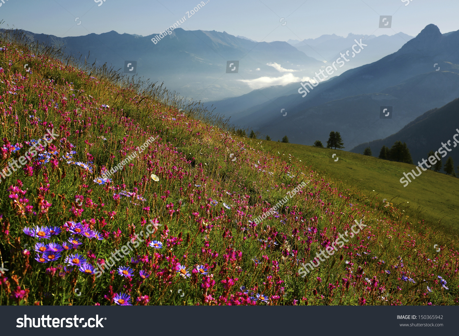 Parc National Du Mercantour Near Allos Stock Photo Edit Now