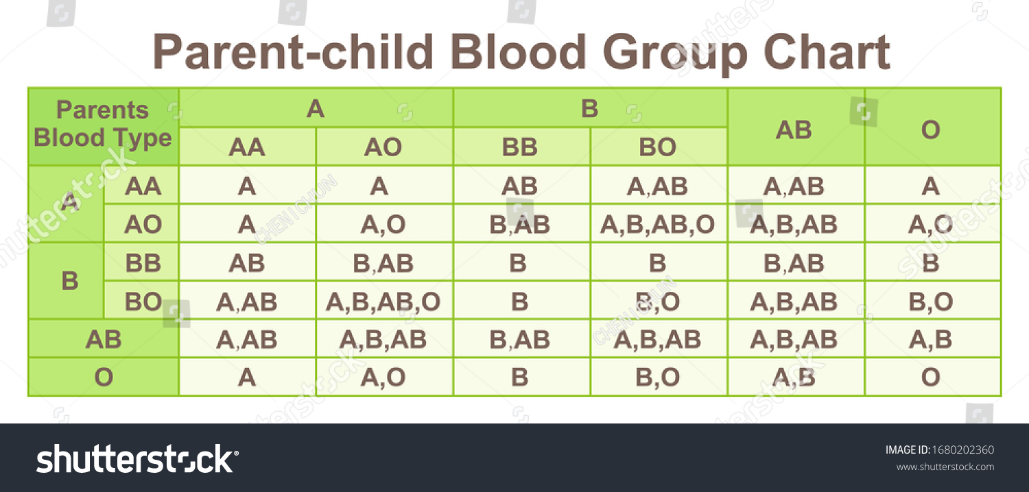 Parentchild Blood Group Blood Type Chart Stock Illustration