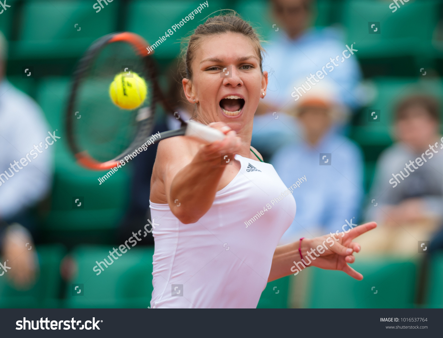 simona halep world Senior