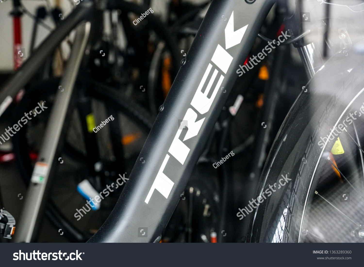 trek bikes stock