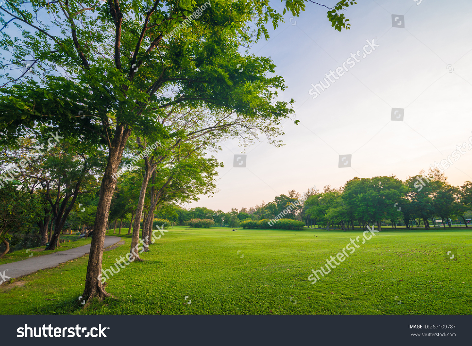 Park Recreation Area City Green Field Stock Photo (Edit Now) 267109787