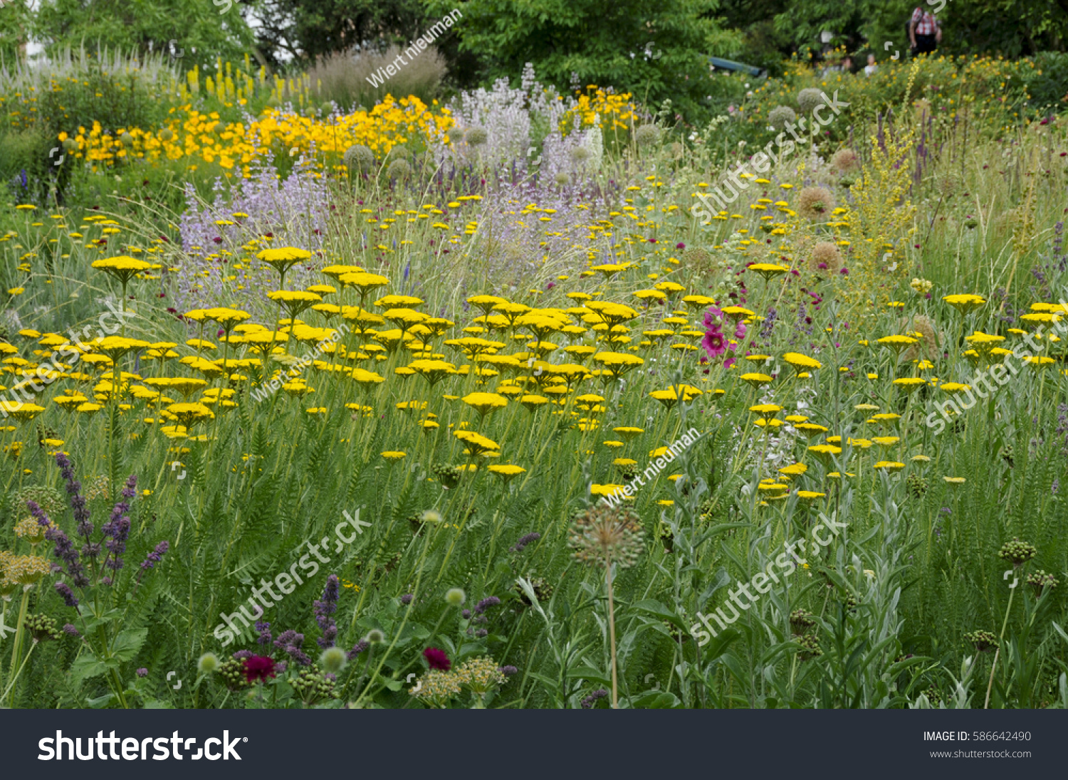 Part Sichtungsgarten Hermannshof Weinheim Nature Parks Outdoor