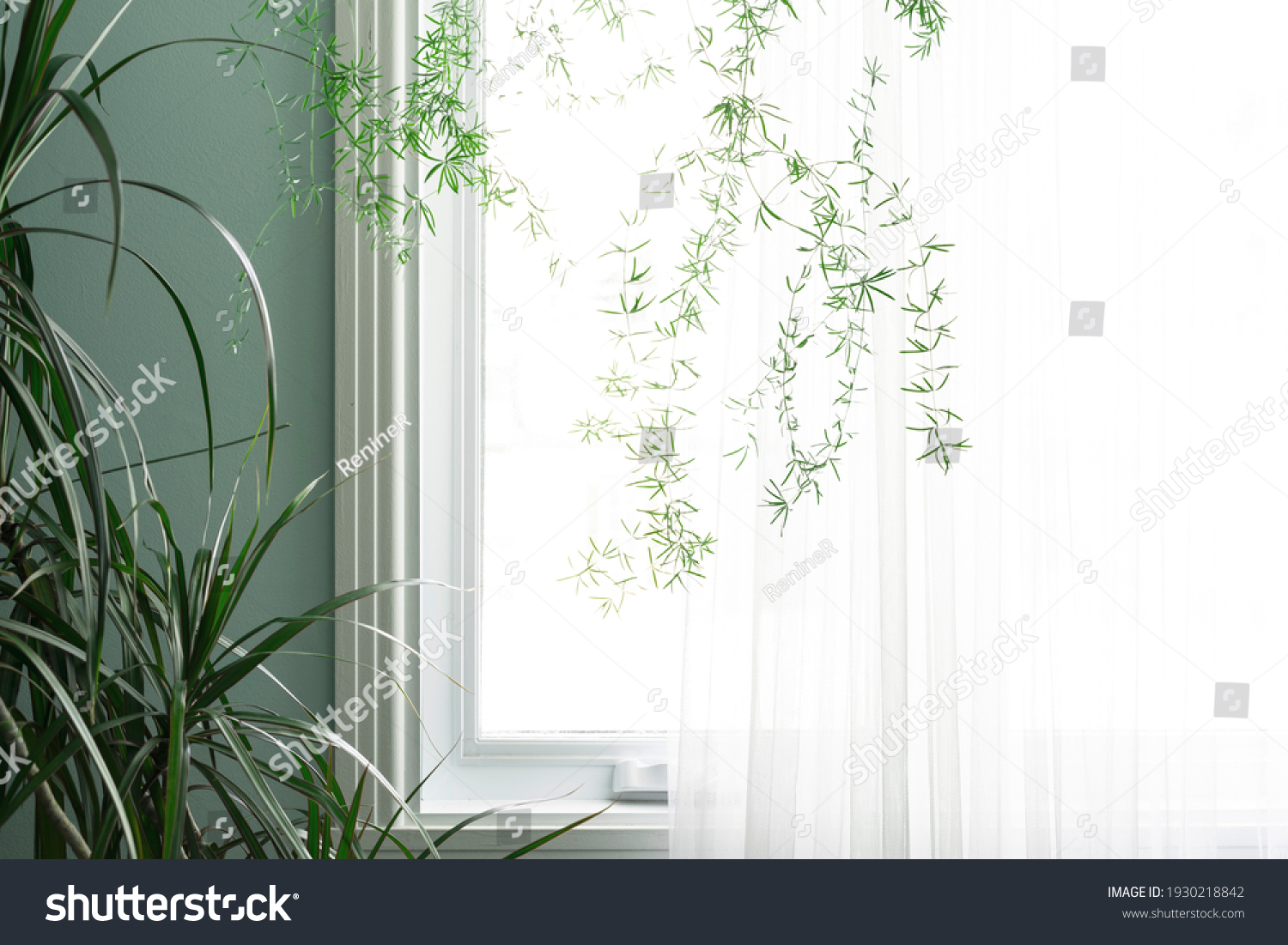 595,552 Background window green Images, Stock Photos & Vectors ...