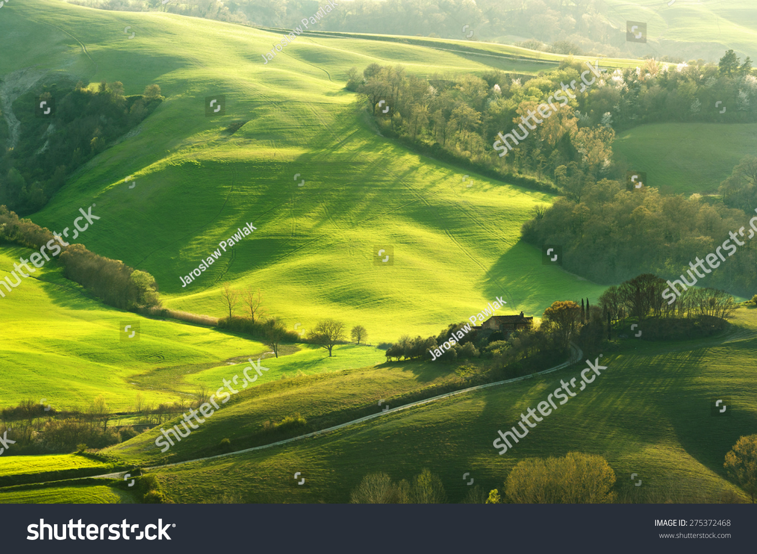 Pastoral Green Field With Long Shadows In Tuscany, Italy Stock Photo ...