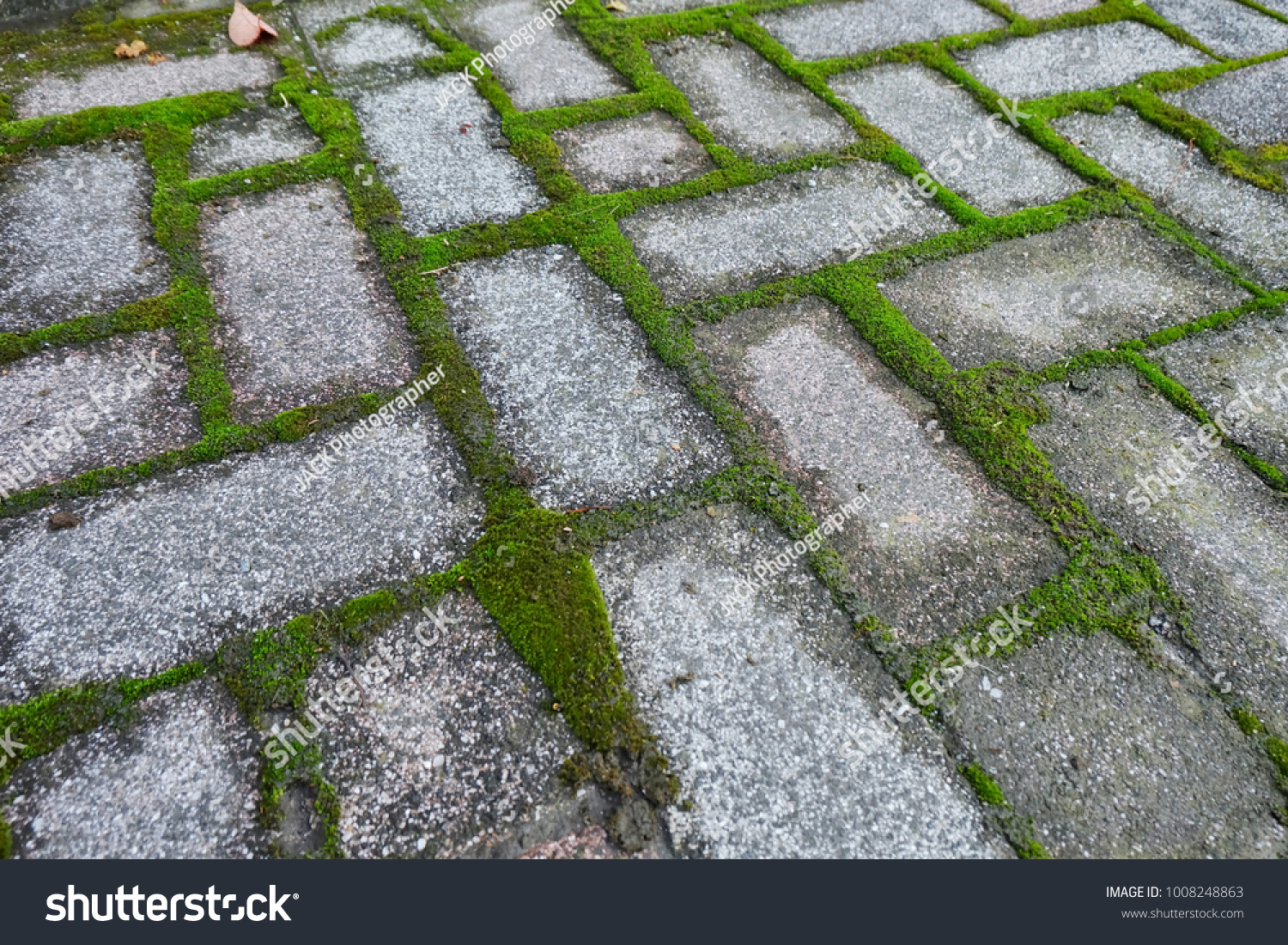 Pave Block Texture Design Green Nature Stock Photo Edit Now